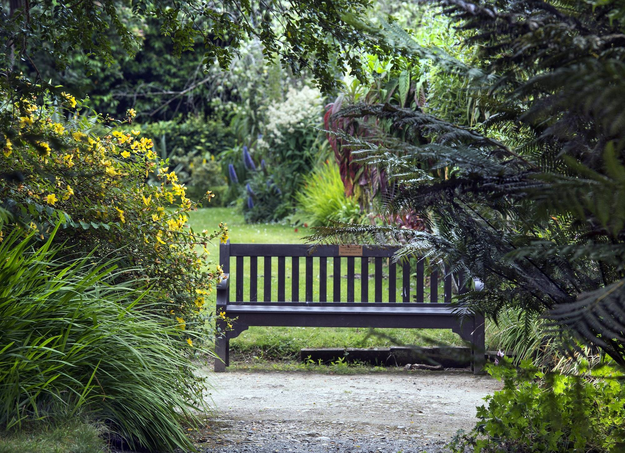 are dogs allowed in botanic gardens dublin