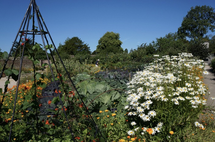 Walled Vegetable Garden Opw National Botanic Gardens Of Ireland