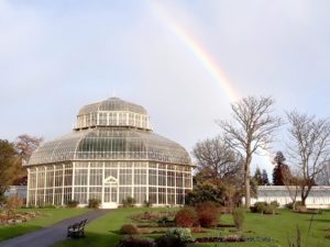 Daily Guided Tour Glasnevin @ National Botanic Gardens, Glasnevin