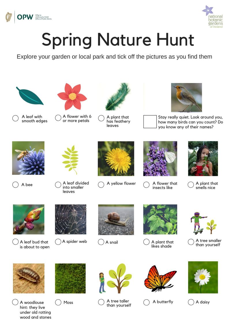 preview image of botanic gardens of ireland spring nature hunt worksheet