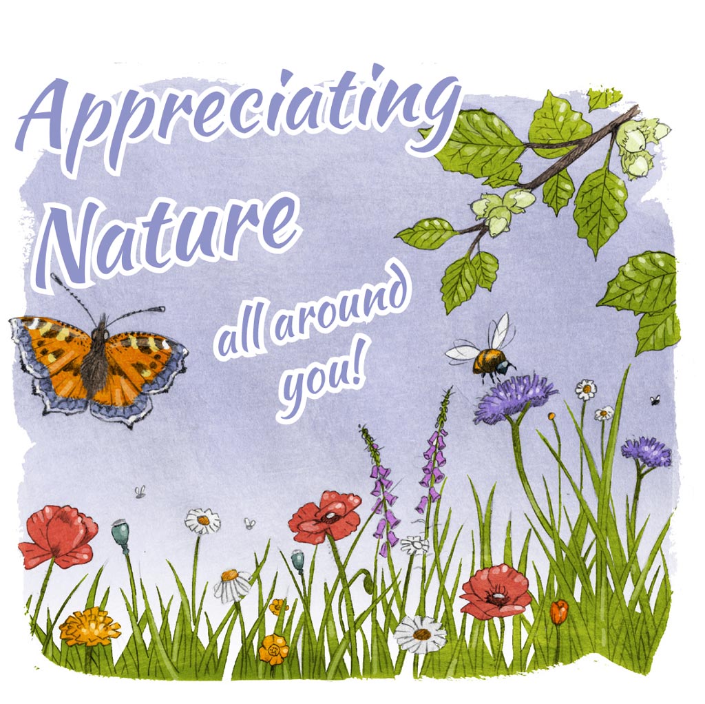 Illustration for Appreciating Nature all around you with wildflowers insects hazel and grass