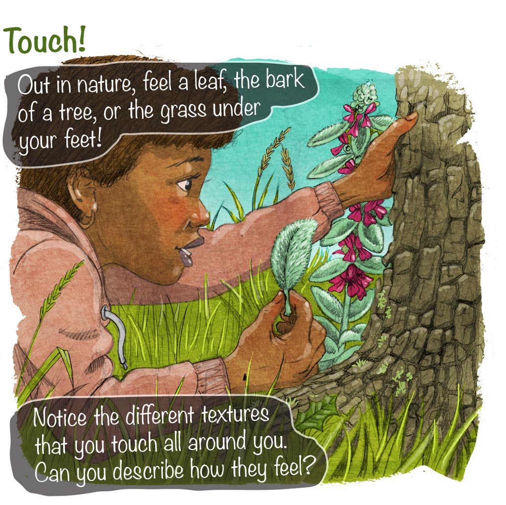 illustration of girl out in nature touching differently textured plants and barks