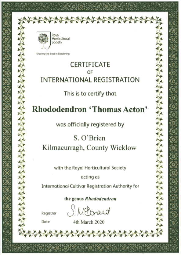 thomas acton registration certificate rhs