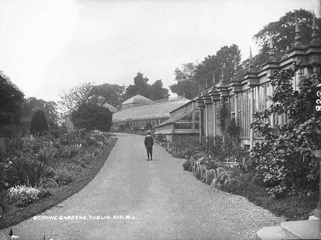 victoria house at the national botanic gardens glasnevin