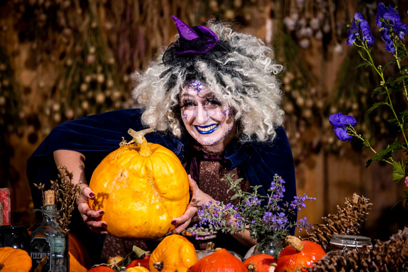 wicked witch in the botanic gardens glasnevin