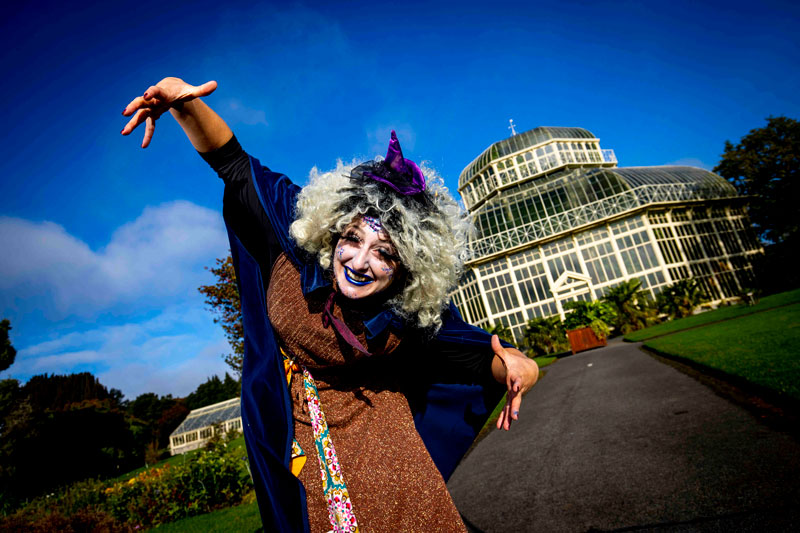 wicked witch in the botanic gardens glasnevin
