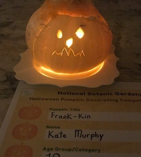 Kate Murphy 10 Frank-Kin