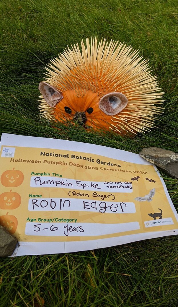 Robin Eager 5-6 Pumpkin Spike and his 600 toothpicks