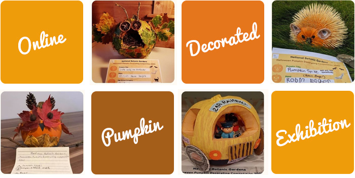 online decorated pumpkin competition