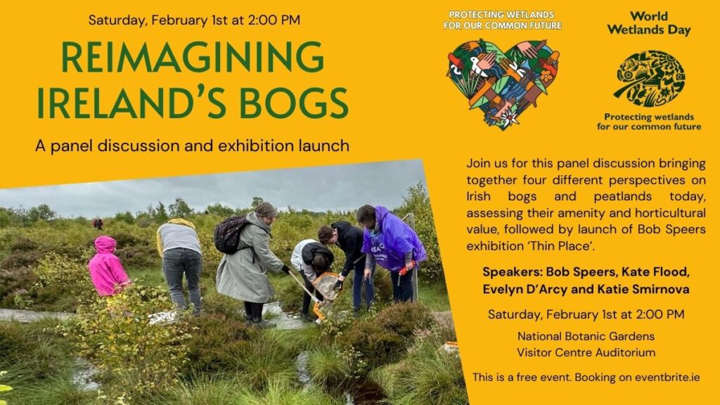 reimagining Ireland's bogs