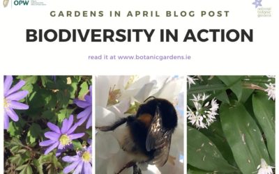 Gardens in April – Biodiversity in Action
