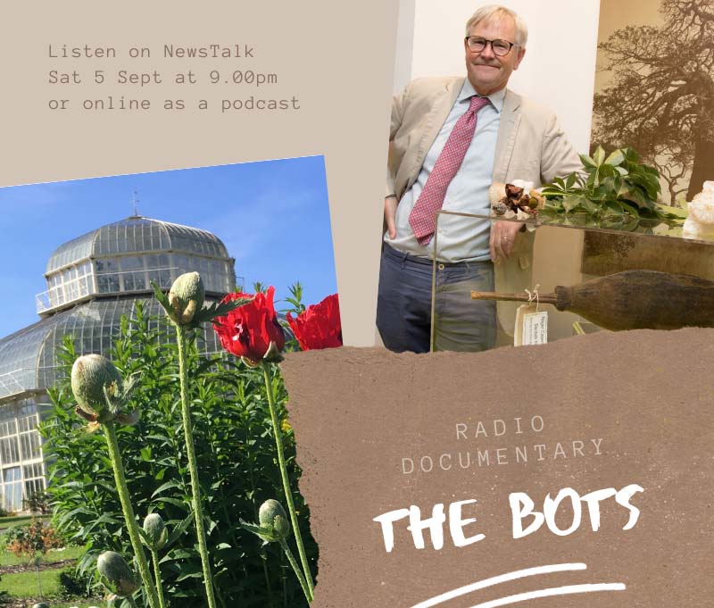 the radio bots documentary 