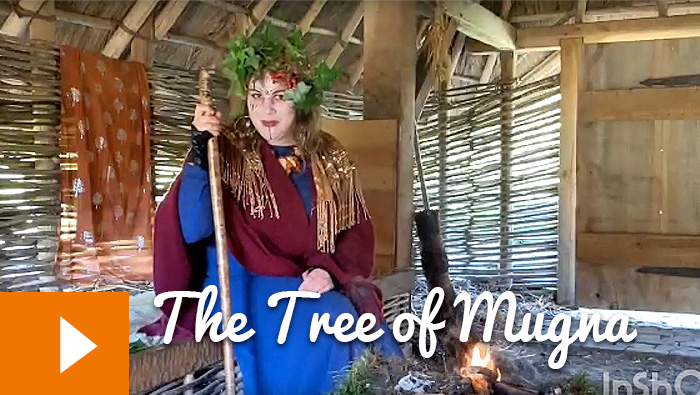 Tales from the Viking House: The Tree of Mugna