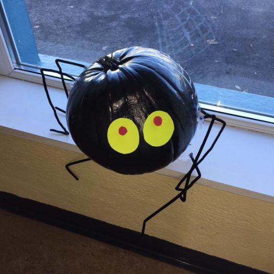1st Class St. Marys Group Friendly Spider