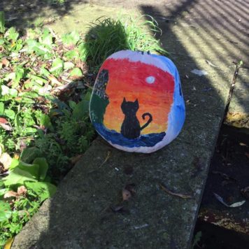 6th Class St. Marys Dungarvan Creepy Cat