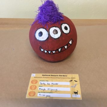 Abaigh McGeough 9-10 Sparky the monster