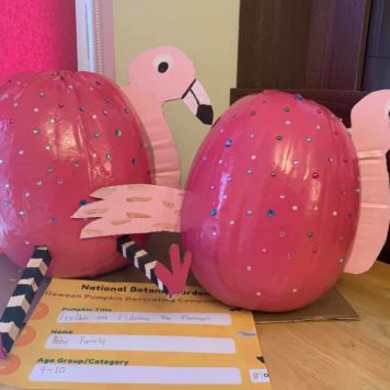 Abby Farrelly 9 Freddie and Fidelma the flamingos