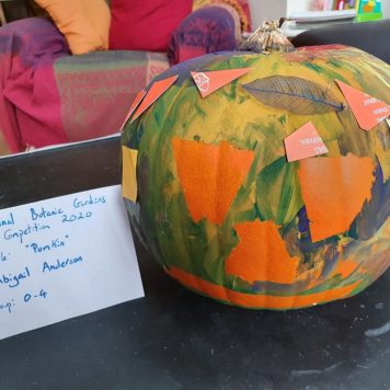 Abigail Anderson 3 Pumkin