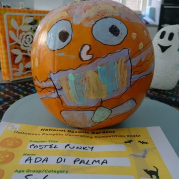 Aida di Palma 5-6 Pastel Punky
