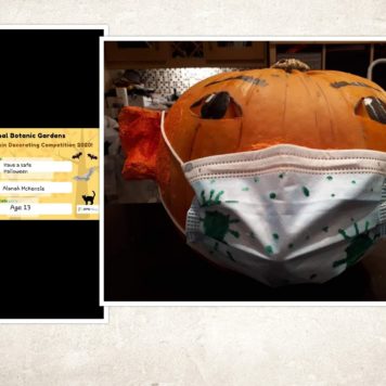 Alanah McKenzie 13 Have a safe Halloween