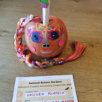 Alannah MacMahon 4 Unicorn Pumpkin