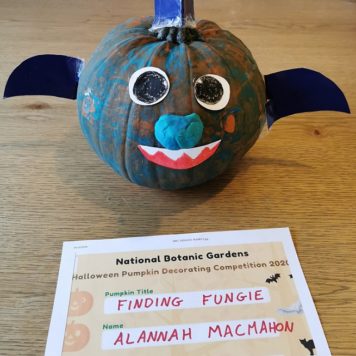 Allannah MacMahon Family Finding Fungie