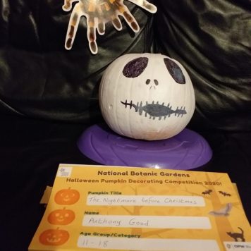Anthony Good 12 The Nightmare before Christmas