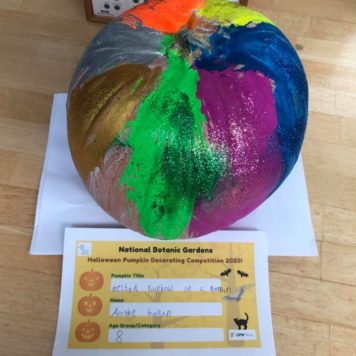 Aoibhe Gahan 8 Melted rainbow on a pumpkin