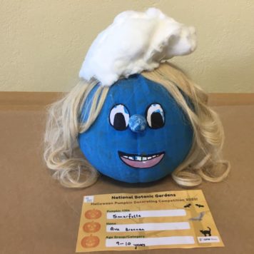 Ava Brennan 9-10 Smurfette