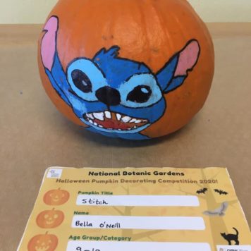 Bella O'Neill 9-10 Stitch
