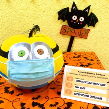 Booma Childcare Group Even minions show care
