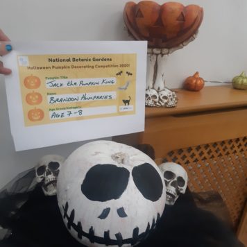 Brandon Humphries 8 Jack the Pumpkin King Night before Christmas