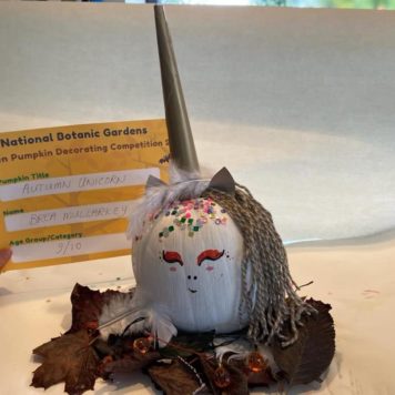 Brea Mullarkey 10 Autumn Unicorn