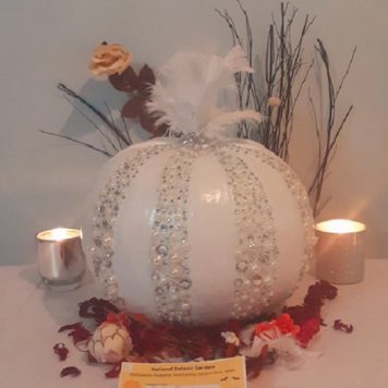 Bridget and Izzy Aspel Family Bride Pumpkin