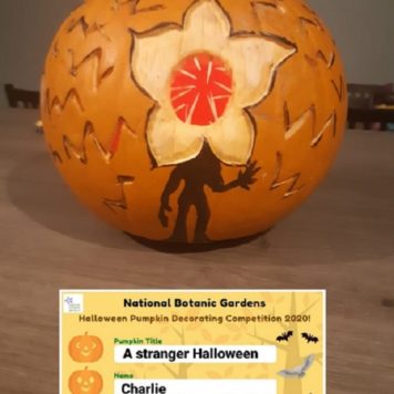 Charlie McCloskey 9-10 A stranger Halloween