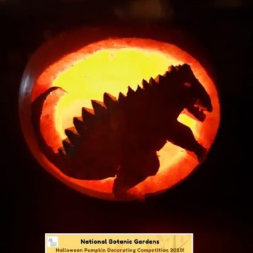 Charlie family Godzilla