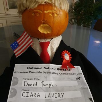 Ciara Lavery 11 Donald Trumpkin