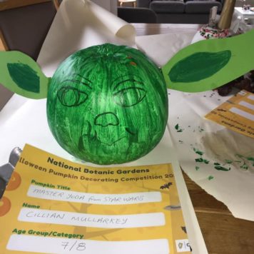 Cillian Mullarkey 8 Master Yoda from Starwars