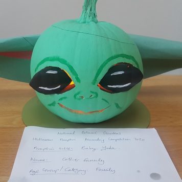 Collier Family Baby Yoda