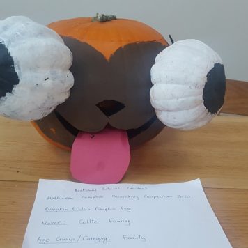 Collier Family Pumpkin Pig