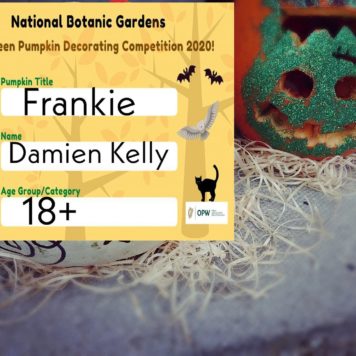 Damien Kelly 18+ Frankie