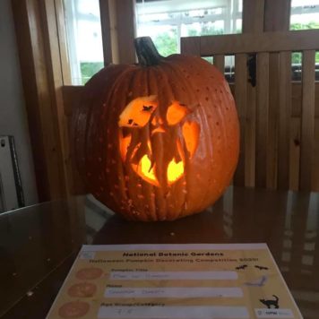 Darragh Doherty 7-8 Max the Pumpkin