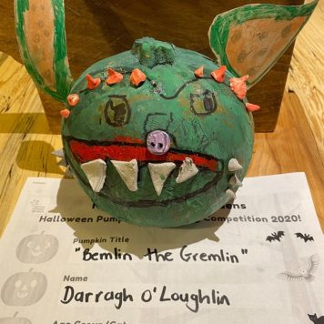 Darragh O'Loughlin 5 Bemlin the Gremlin