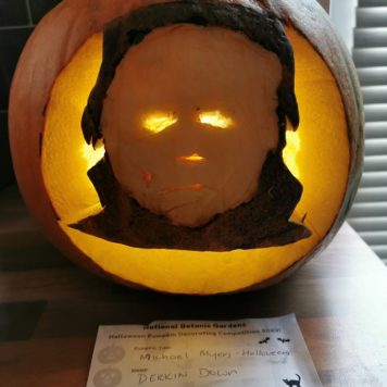 Derkin Down 18+ Michael Myers Halloween
