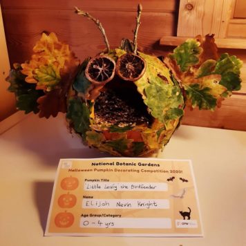 Elijah Nevin Knight 2.5 Little Leafy the Birdfeeder