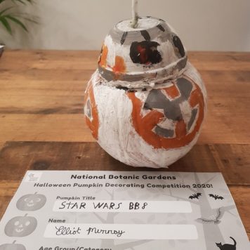 Elliot Murray 9 BB8 from Starwars