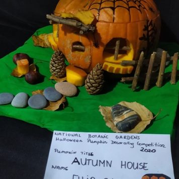 Filip Sajdyk 11 Autumn House