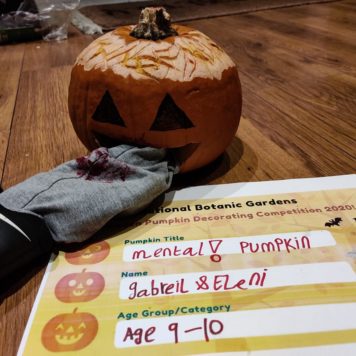 Gabreil and Eleni 9-10 Mental Pumpkin