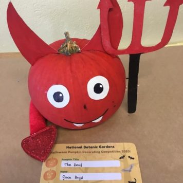 Grace Boyd 11-18 The Devil