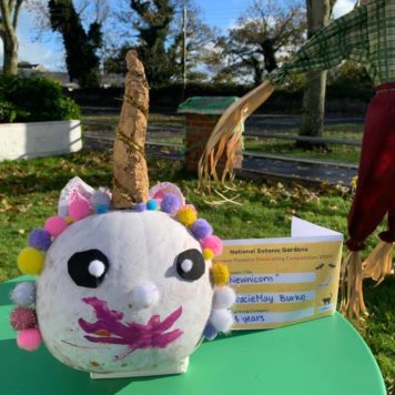 Gracie May Burke 4 Newnicorn